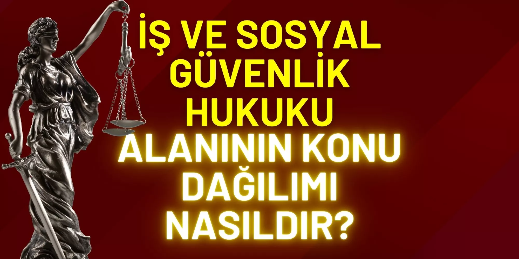 ALANININ KONU DAĞILIMI NASILDIR?