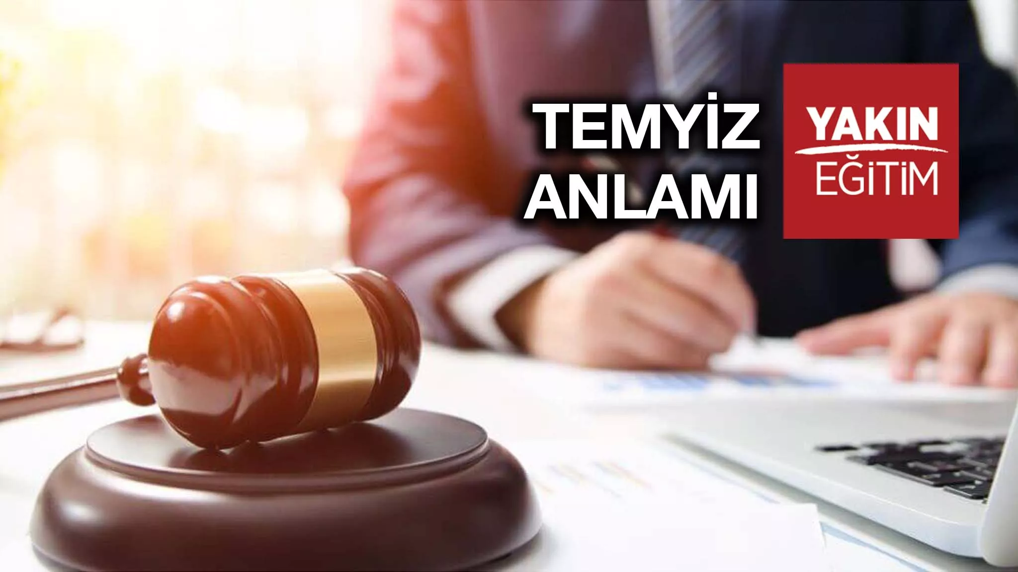 TEMYİZ ANLAMI